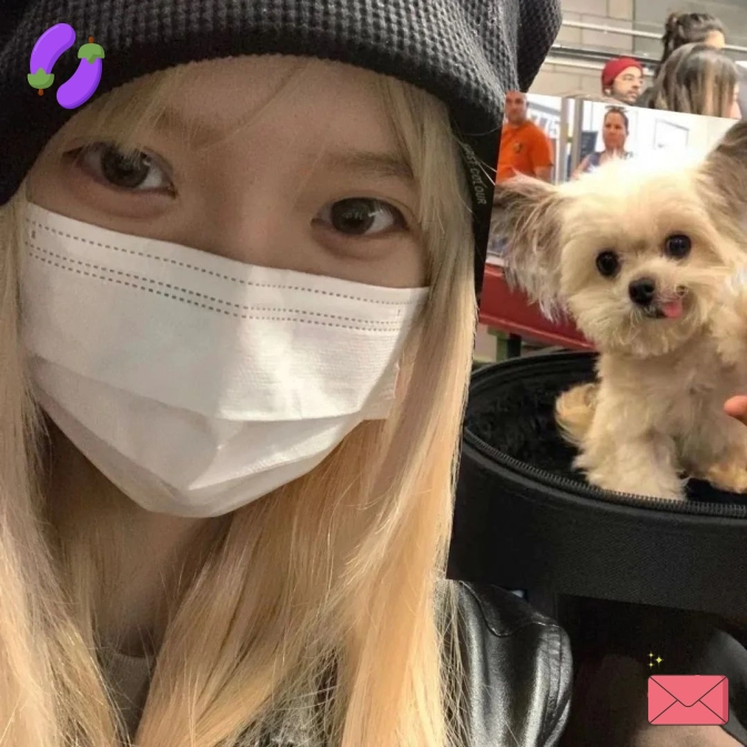 江苏球迷小飞（江苏省）